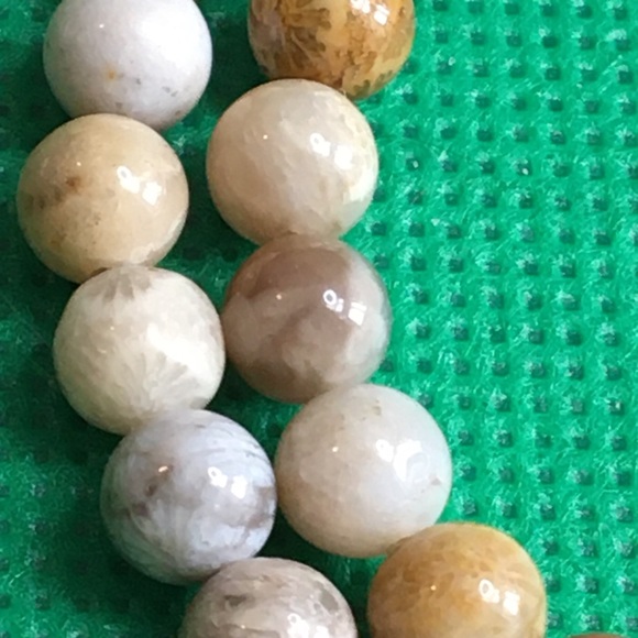 Fossil Jasper 6mm - Picture 3 of 7